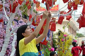 Holyday Vacation Tet New