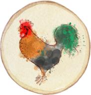 Colorful drawing of the rooster, on the circle icon, clipart