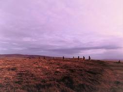 pink clouds by the meadow