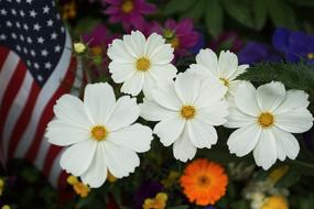 Summer Flower Flag
