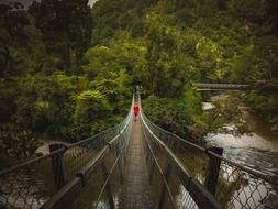 Bridge Swing Person in red