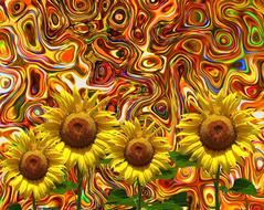 sunflower summer sun yellow flower