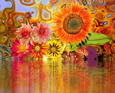 Orange flowers are beautiful in the water