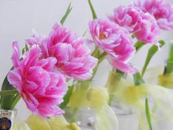 Pink Tulips Flowers table decorations