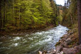 Breitachklamm Bavaria Gorge