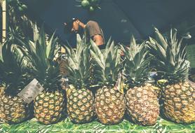 Farmer and pineapples
