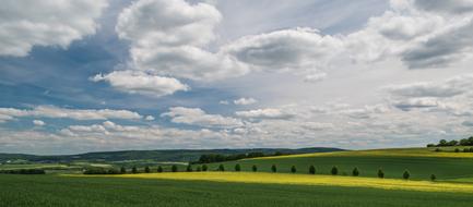 Sky Clouds Oilseed Rape