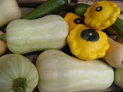 large vegetables
