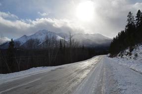 Icy Road Mountain Sun Pine