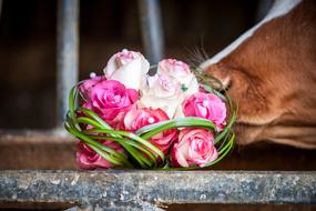 flowers bouquet beautiful view