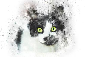 cat pet art abstract watercolor