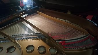 Piano Grand Wing macro photo