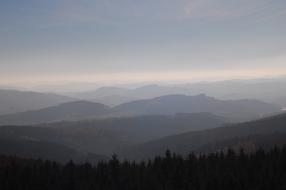 Sauerland Forest Germany