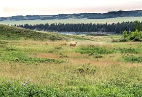 Glenbow Ranch Provincial Park
