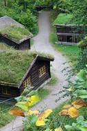 Beautiful landscape with the wooden houses among the plants