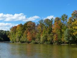 Autumn Isar Forest