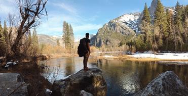 Mountain Trees Forest