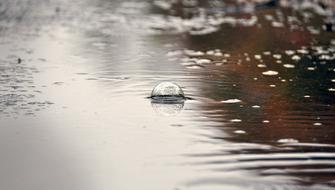 Drops Of Bubble Water