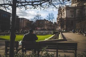 Guy Sitting in Park