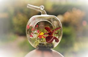 Flower The Month Of May Montage