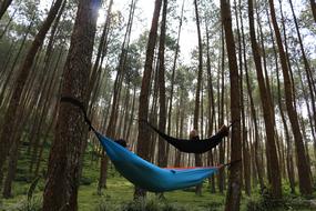 Pines Woods relaxation