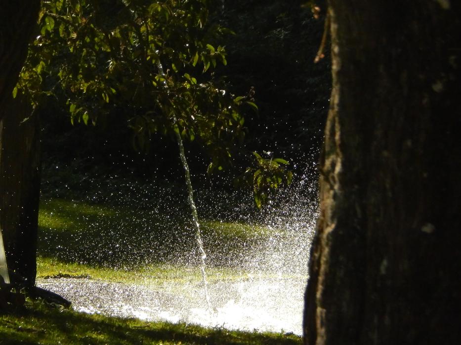 Waterfall Source in summer