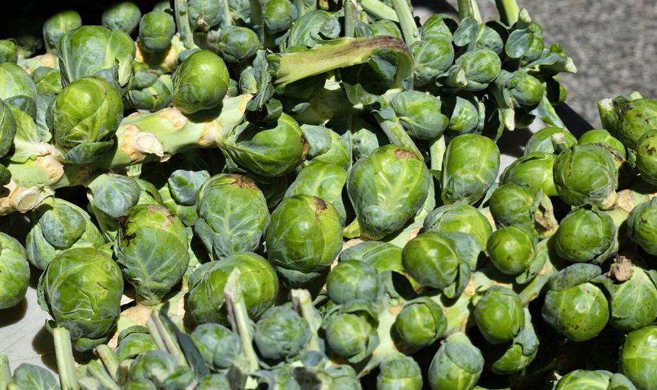 green vegetables are delicious
