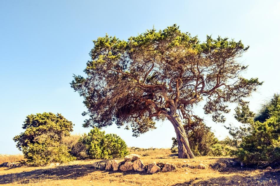 Cyprus Cavo Greko scenery