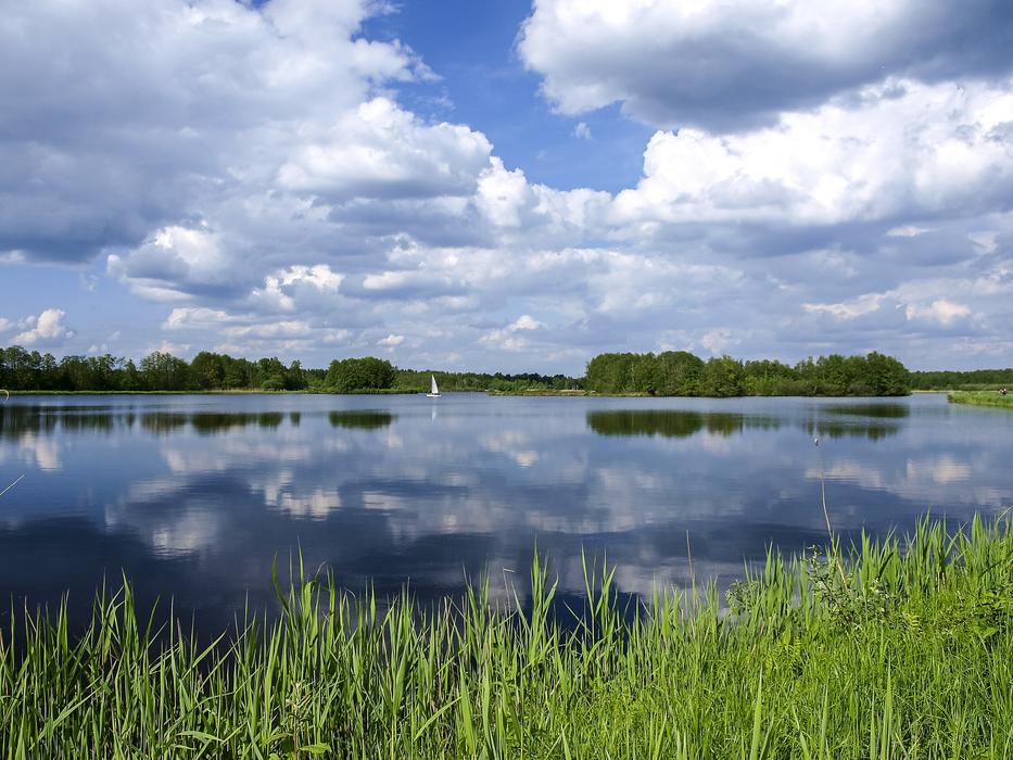 quiet lake with grass