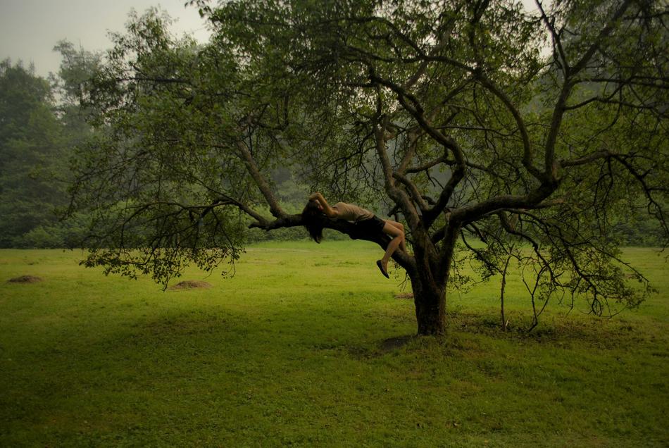 the girl lies on a green tree branch
