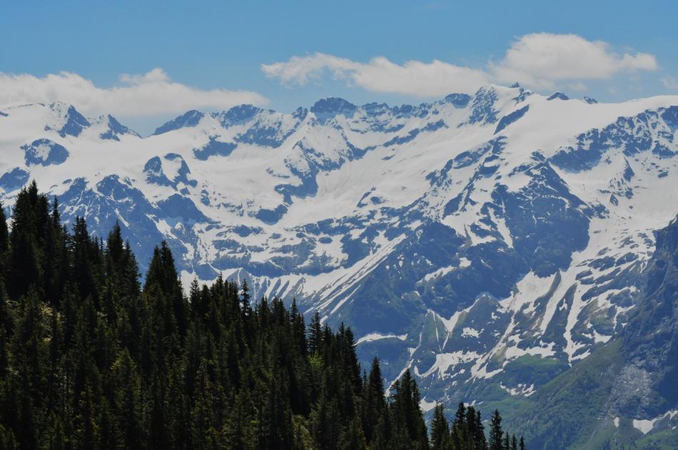 alpine mountains in the snow in the forest