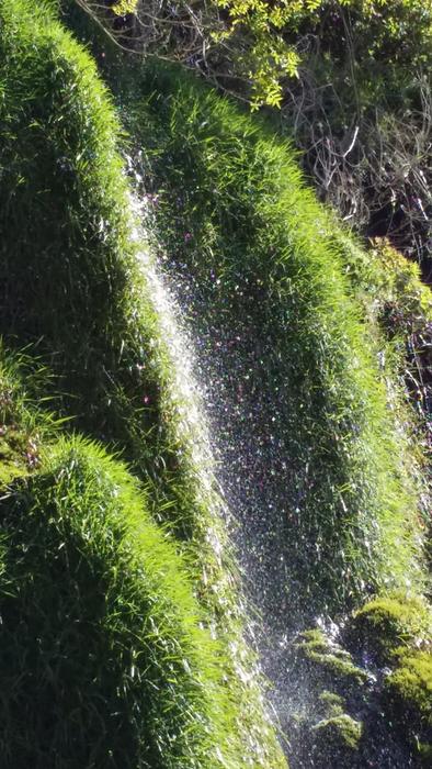 green waterfall on the rocks