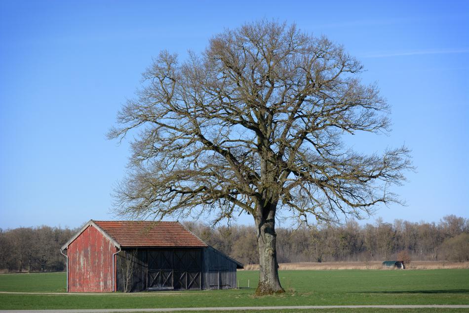 Landscape of Nature Chiemgau in Upper pavaria