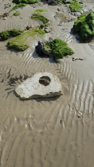 stone on dirt