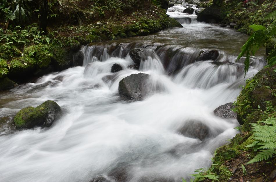 Stream Creek Water