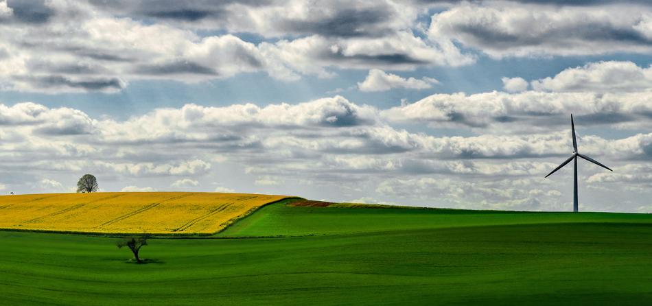 green meadow in the clouds
