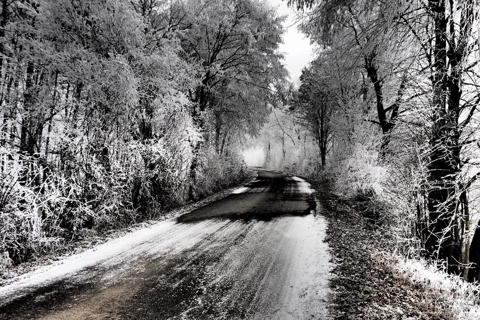 ice road snow trees