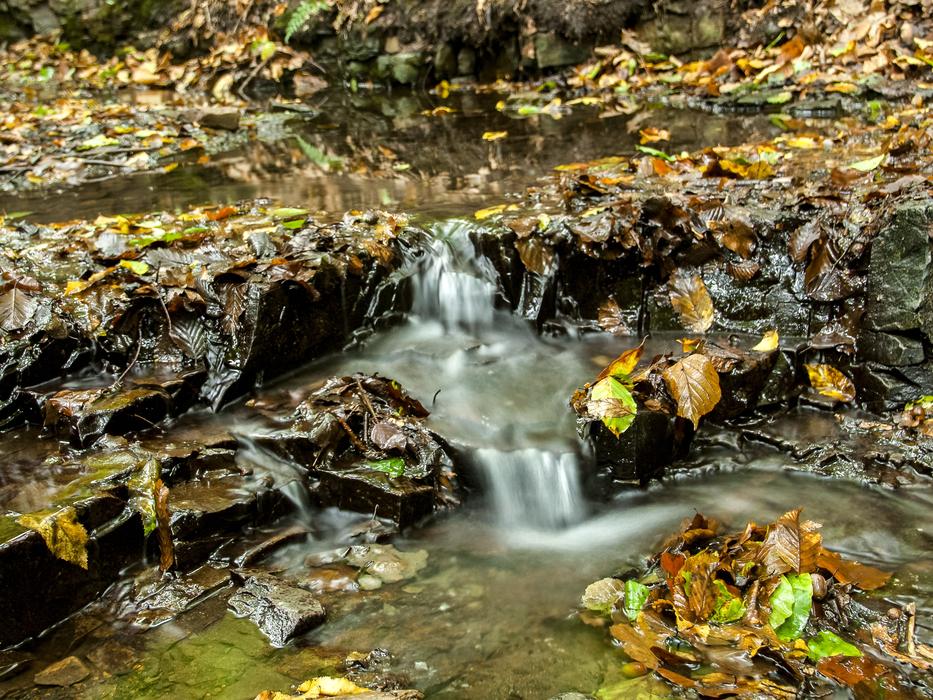 a small waterfall in the river in the forest