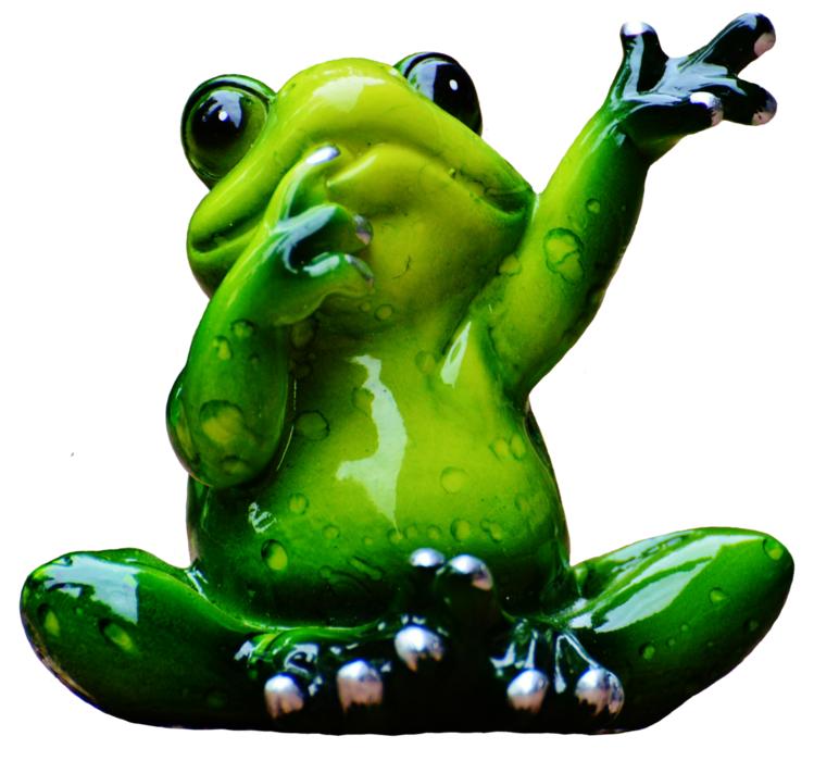 Frog Figure Wave