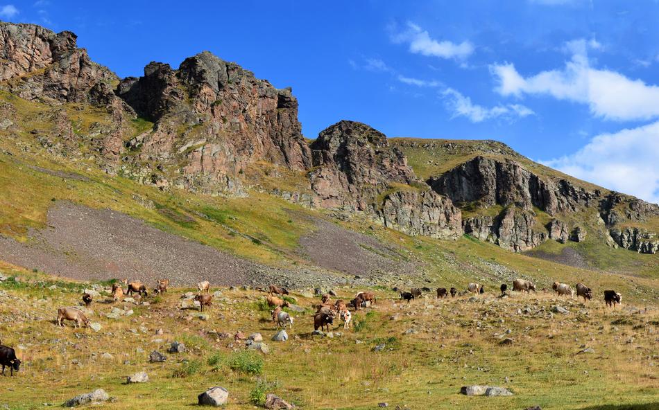 Eastern Black Sea Landscape