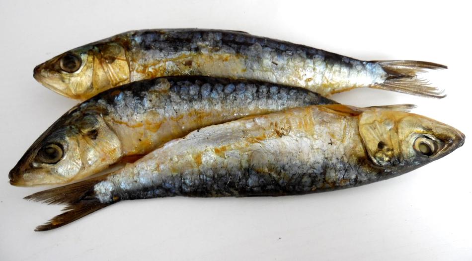 salted fish