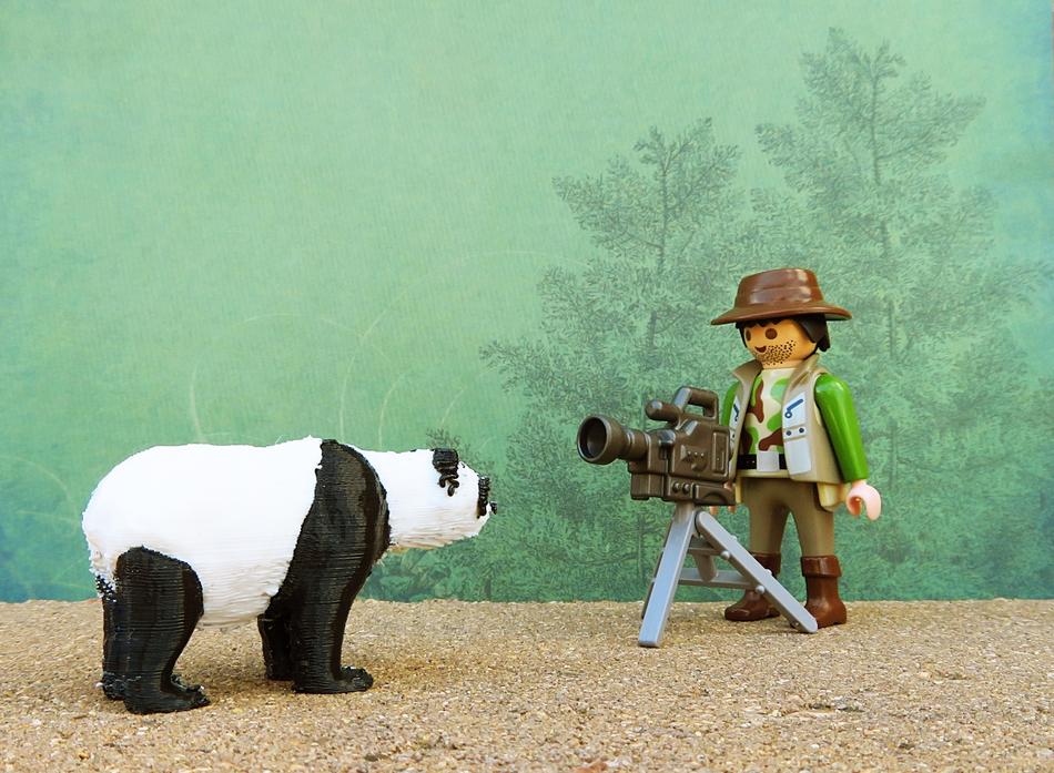 panda toy photographer