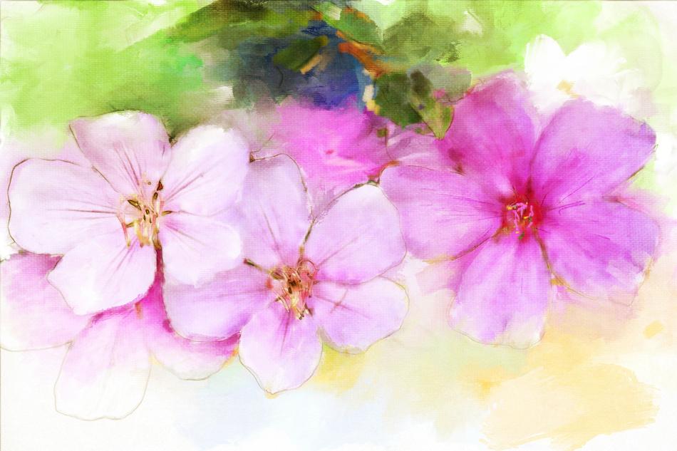 painting of pink flower