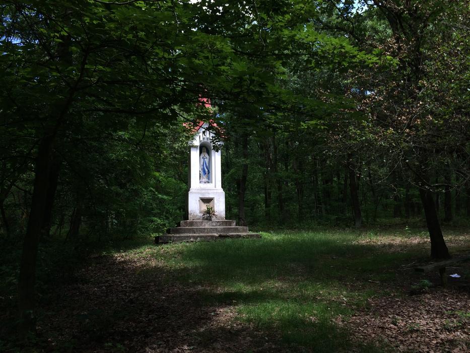 Chapel Forest Shadow