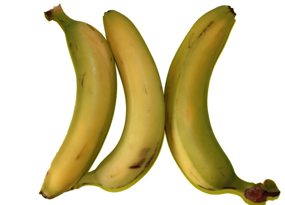 Three ripe bananas on a white background