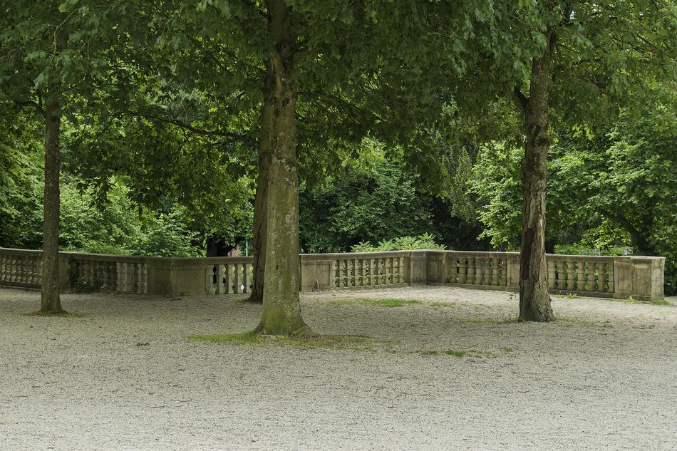 Landscape of the Park trees