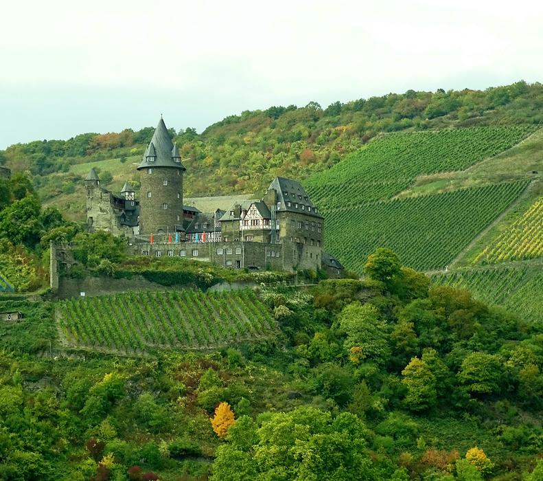 old castle on a green field