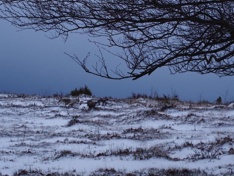Snow Winter Nature