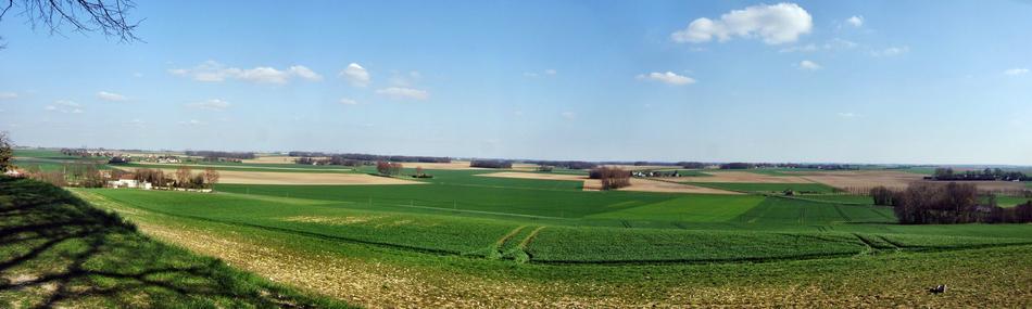 green panorama of meadows