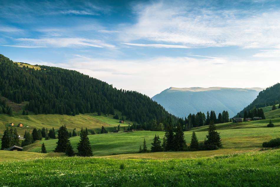 Mountain Highland Grassland